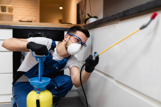 Best Flea Control Services  in Mira Monte, CA