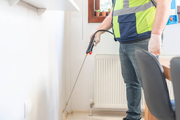 Best Wasp Removal Services  in Mira Monte, CA